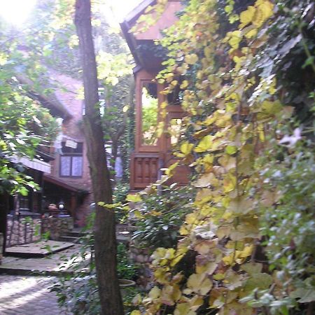 Gite Le Riesling Bergheim Exterior photo